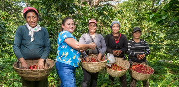 Fairtrade Femmes Agricultrices